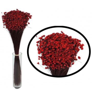 Plante uscate Glixia bordo, 50 gr