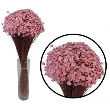 Plante uscate Glixia roz, 50 gr