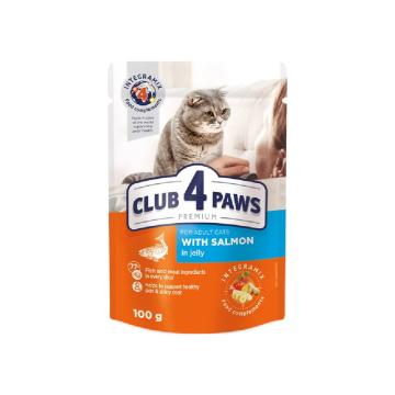 Plic hrana umeda pisica Somon in Jelly 100g - Club 4 Paws de la Club4Paws Srl
