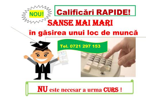 Curs rapid drujbist (recoltare si toaletare arbori)