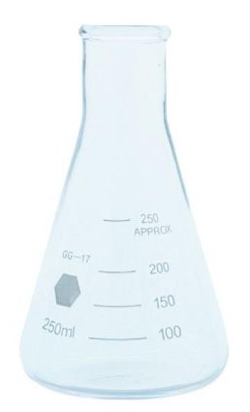 Pahar Erlenmayer 250 ml