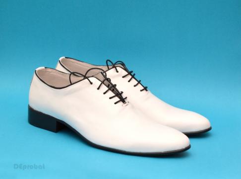 pantofi casual