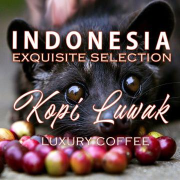 Cafea de origine Indonezia Kopi Luwak - Fair Farm