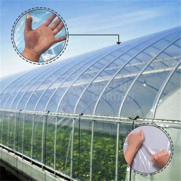 Folie solar Clara 200 microni, latime 6,5 m de la Green Garden Srl