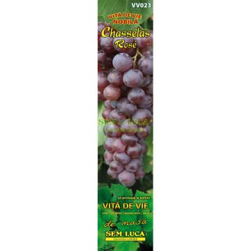 Butas vie Chasselas Rose