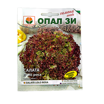 Seminte Salata Lolo Rosa 2 gr, OpalZi Bulgaria