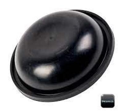 Membrana pompa erbicidat 550190 110 mm